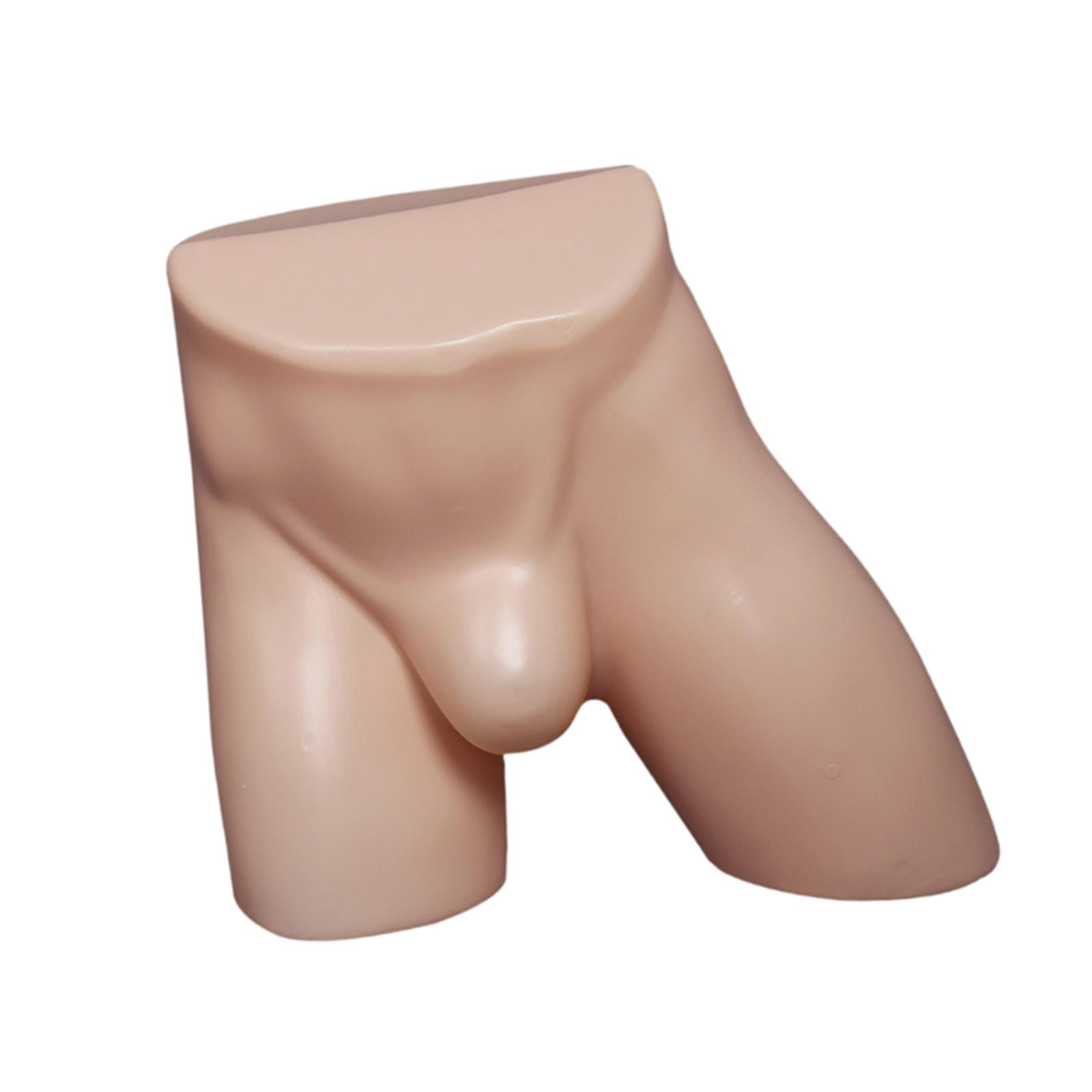 Dualoai Male Underpants Stand Male Mannequin Hip Underpants Showcase Support Mans Briefs Skin