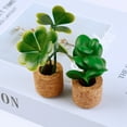 thumbnail image 5 of Plant Fridge Magnet, 14PCS Plastic Cute Refrigerator Magnet, Miniature Succulent Home Decor for Adults Kids, 5 of 10