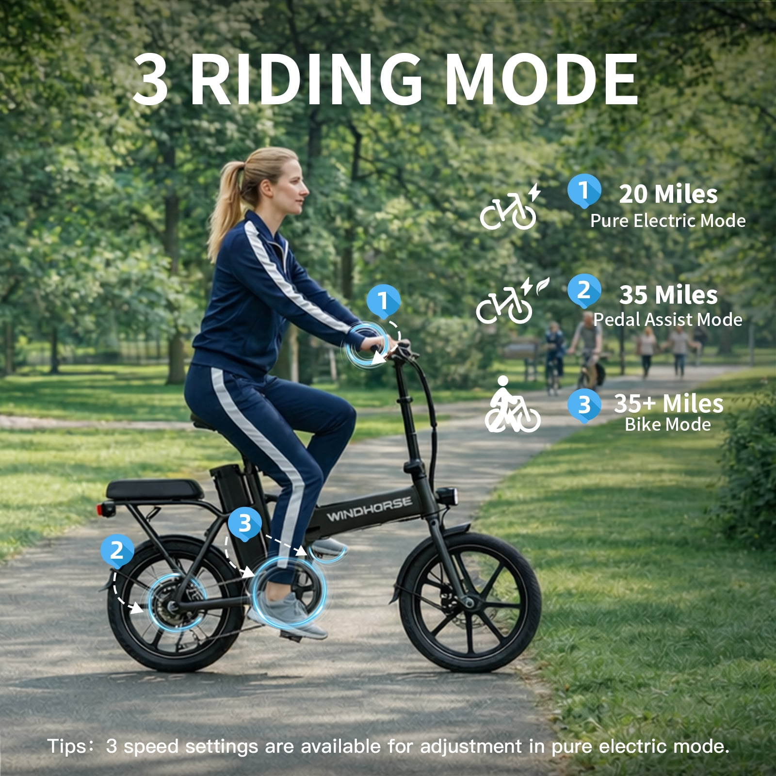 WINDHORSE 16" Folding Electric Bike for Adults, 20mph, 19-35mile Range, 630W Peak,  Removable Battery, Seat Suspension, LCD Display, Commuter Ebike
