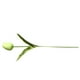 thumbnail image 3 of Wosthever Mini flor artificial, lirio único, tulipán, flor monarca, flor falsa de PU, decoración para el hogar y la Oficina, Flores artificiales verde, 3 of 6