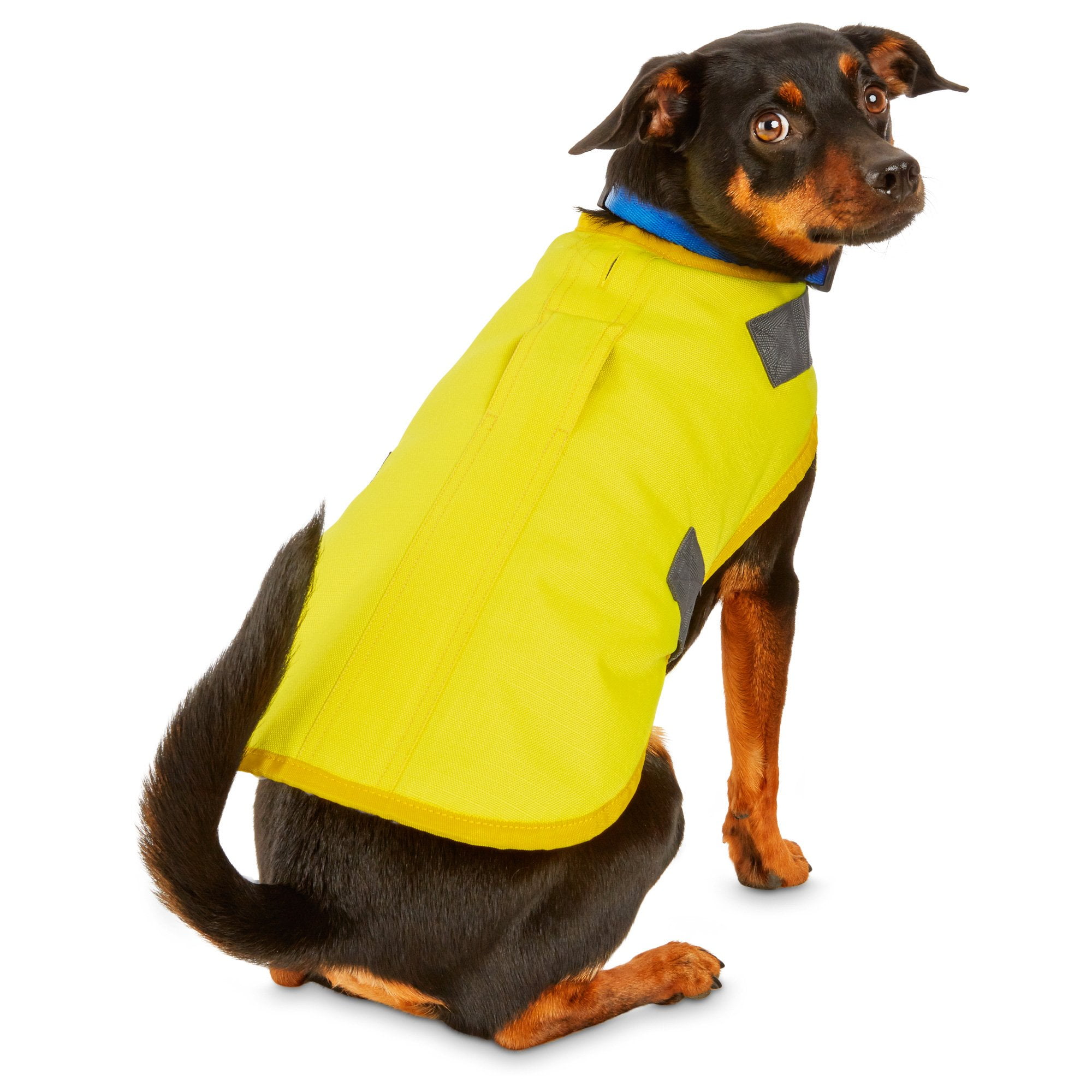 catgenie maintenance cartridge