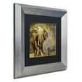 thumbnail image 3 of Trademark Fine Art "Taste Of Africa III" Canvas Art by Color Bakery, Black Matte, Silver Frame, 3 of 4