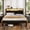 Black Oak, variant on Dayago Twin Size LED Bed Frames with Charging Station and Storage Headboard, Upholstered Metal Platform Bed, Noise Free, Black