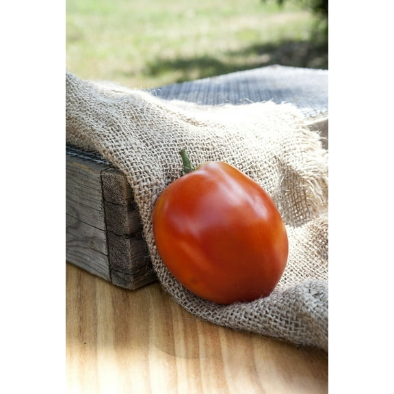 Amish Paste Sauce Heirloom Tomato Premium Seeds Packet