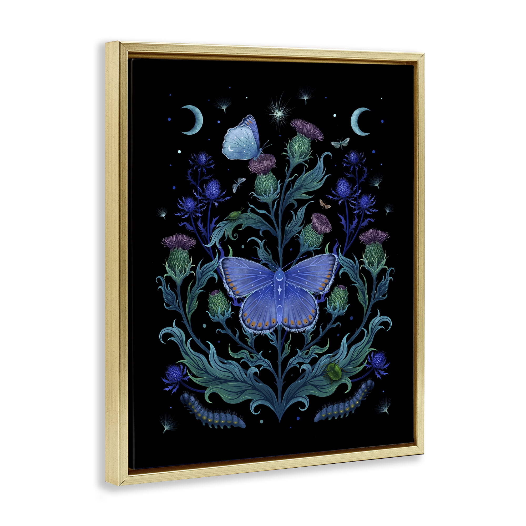 Stupell Industries Thistles & Insects at Night Gold Framed Floater Canvas Wall Art, design by Episodic Drawings