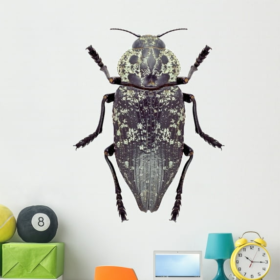 Beetle Metallic Wood Borer Wall Mural by Wallmonkeys Peel and Stick Graphic (48 in H x 34 in W) WM11625