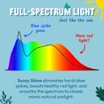 thumbnail image 4 of Bombilla Sunsy Shine de espectro completo, luz solar sin parpadeos, 4 of 7