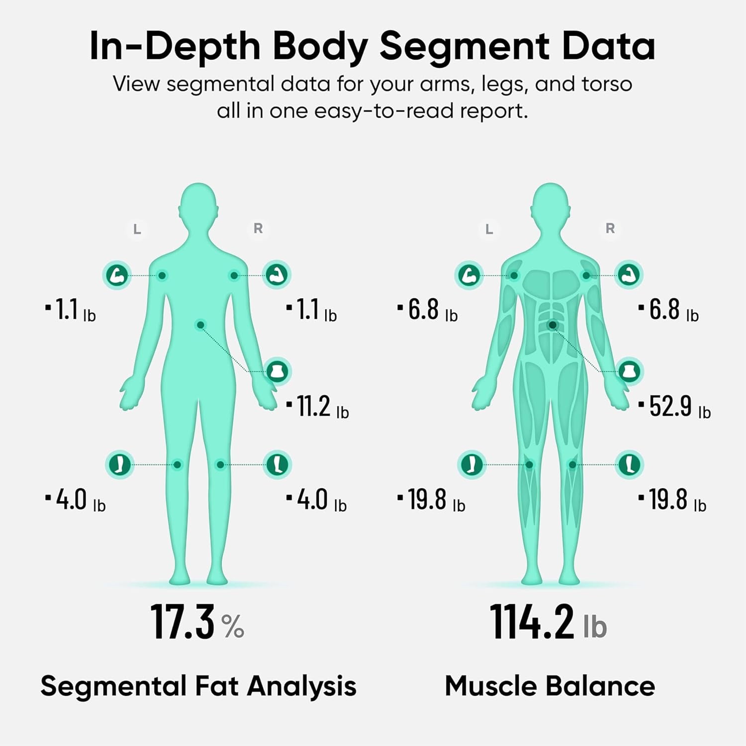 Wyze Scale Ultra BodyScan Smart Scale with Handle – Wi-Fi & Bluetooth Body Composition Scale for Weight, BMI, Body Fat, Muscle Mass, and Segmental Measurement, Black