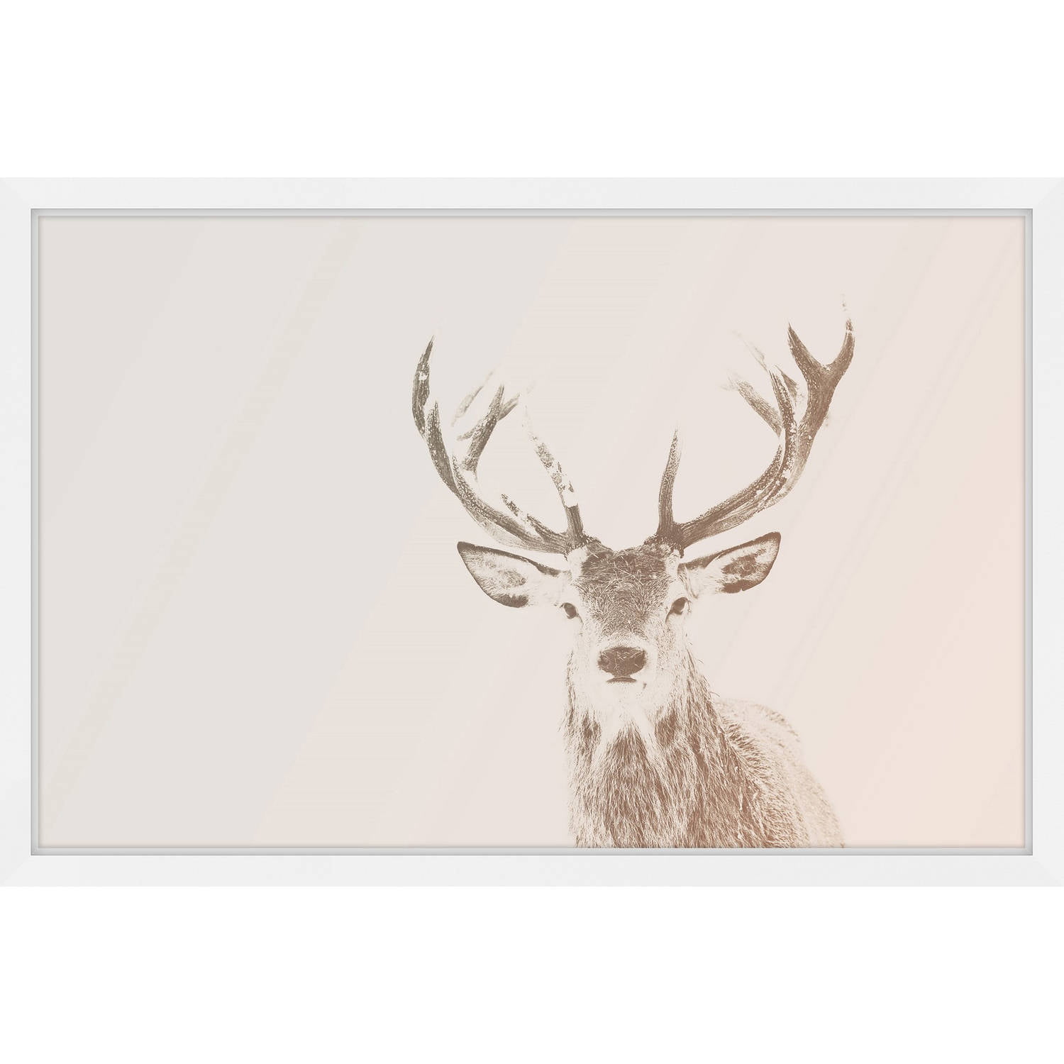 Elk Large Rack Stare Elk Poster Print Paper OR Wall Vinyl