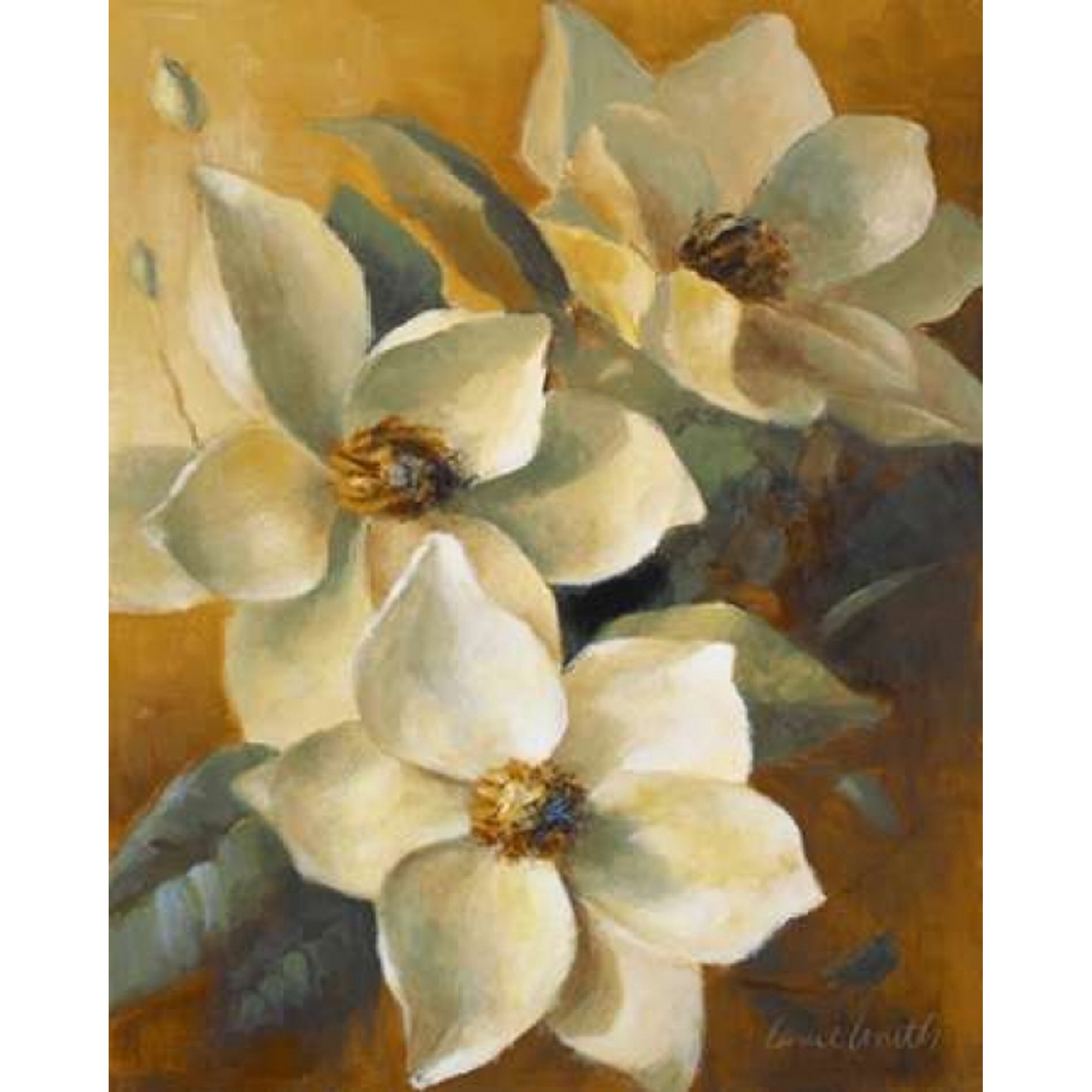 Magnolias Aglow at Sunset II Canvas Art - Lanie Loreth (24 x 30)