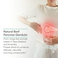 thumbnail image 4 of NutriCology Pancreas Lamb - Freeze Dried Pancreas Tissue - Supports Digestive System - Hypoallergenic Formula - 90 Servings - 90 Count, 4 of 7