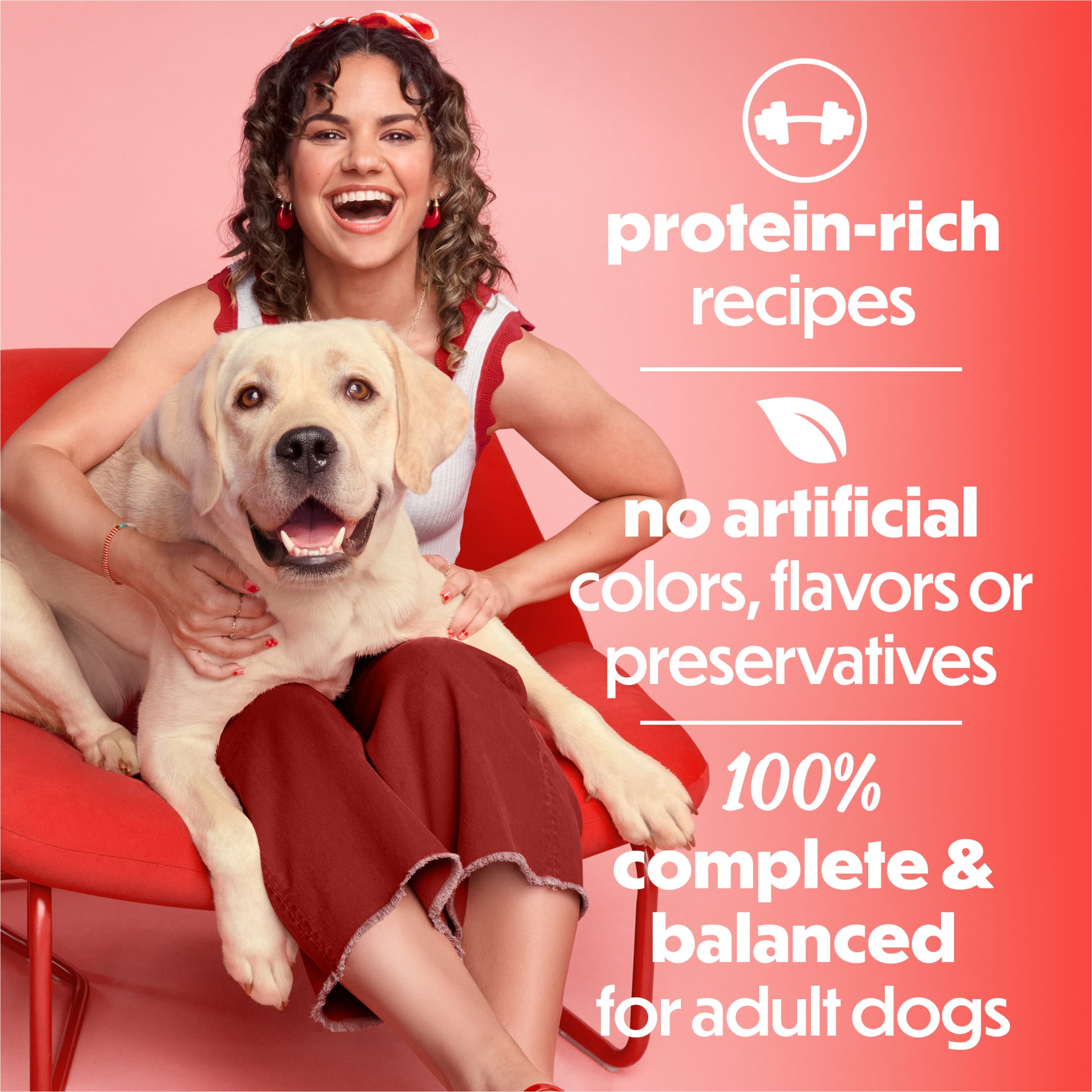 Beneful Wet Dog Food Variety Pack, Chicken & Steak, 12 Pack photo 3