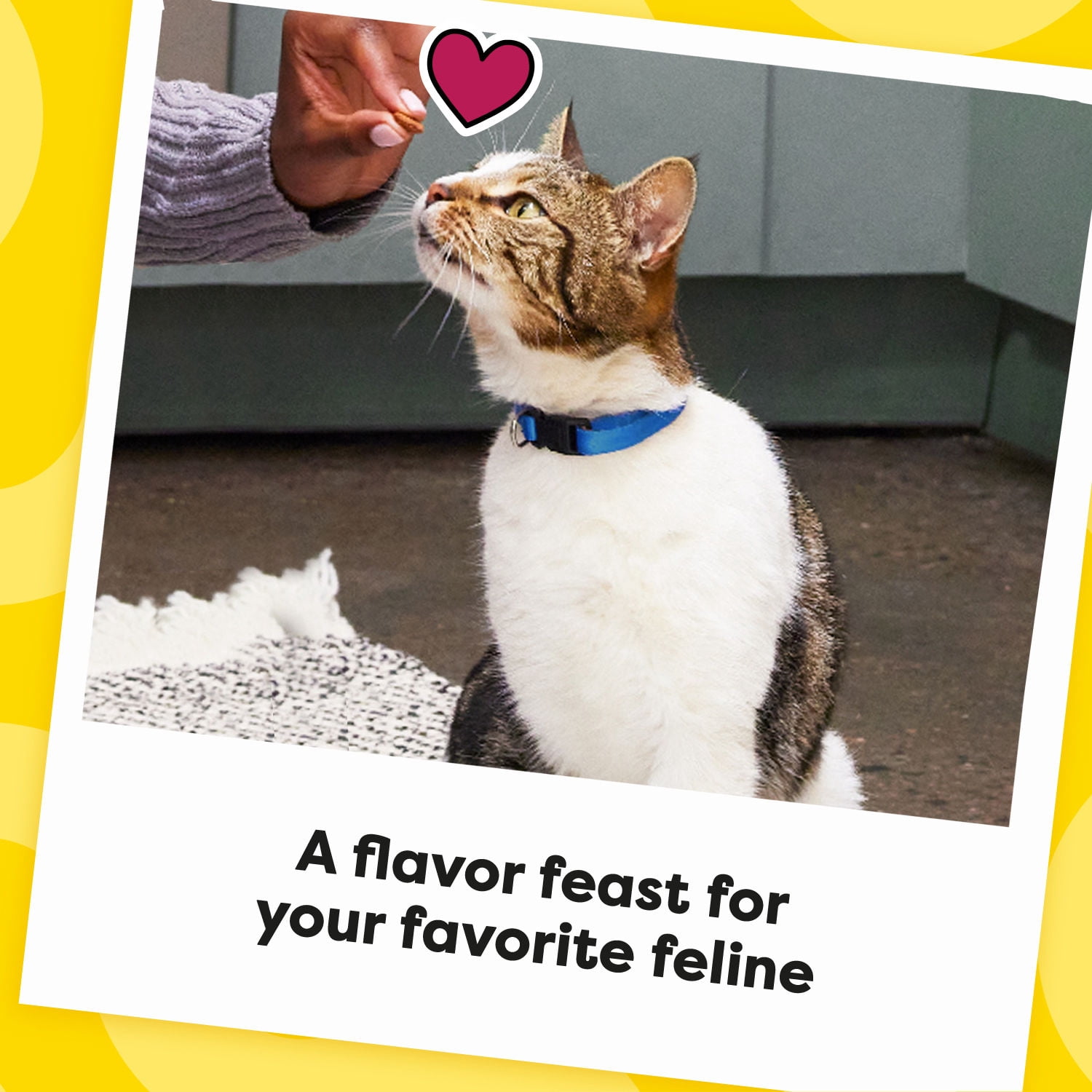 (12 pack) Temptations Mixups Catnip Fever Flavor Crunchy And Soft Treats For Cats, 16 Oz Tub