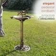 thumbnail image 5 of Alpine Corporation 19" x 34" Plastic Vintage Birdbath, Bronze, 5 of 12