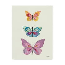 Trademark Fine Art 'Butterfly Charts III' Canvas Art by Courtney Prahl