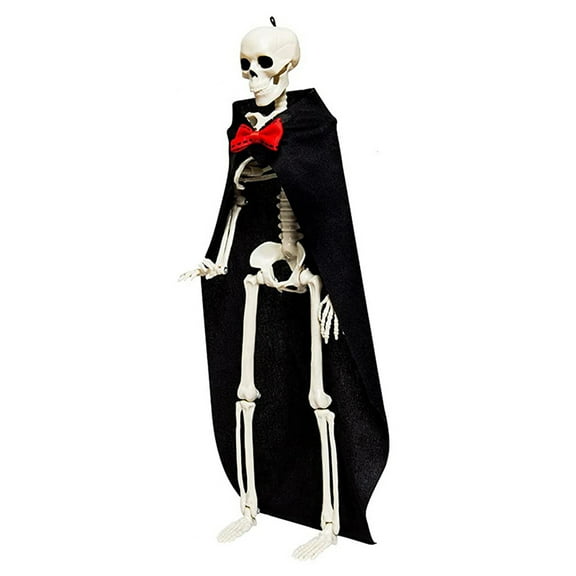 16 inch Posable Life Size Human Adult Skeletons Plastic Human Bones with Movable Joints for Halloween Decoration