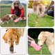 thumbnail image 5 of Botella de agua para perros Dispensador de agua portátil a prueba de fugas con función de beber y alimentar Dispensador de agua ligero para mascotas para caminar y viajar para perros, gatos y otros, 5 of 5