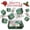 Green-6Pcs, variant on Surprise Gift Box Explosion For Money,Surprise Money Box For Cash Gift,Merry Christmas Surprises Boxs Gift Boxes,Surprise Box for Money,Exploding Gift Boxes for Christmas Birthday (Green 6 Box)