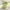Green, variant on Up to 50% Off Viflosae Fake Plants Artificial Silk Fake Flowers Baby's Breath Floral Wedding Bouquet Party Decors Summer Savings
