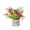 D, variant on Kojanyu Mini Artificial Christmas Arrangement, Small Potted Centerpiece with Red Berries, Tabletop Holiday Decor for Home Party Mantel.