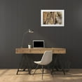 thumbnail image 3 of Paulson, Don 14x11 White Modern Wood Framed Museum Art Print Titled - California, Inyo NF Gnarled pine tree trunk, 3 of 4