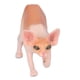thumbnail image 3 of Modelo de gato sin pelo, simulación vívida, decoración educativa para el hogar, estatua de gato multiusos, 3 of 14
