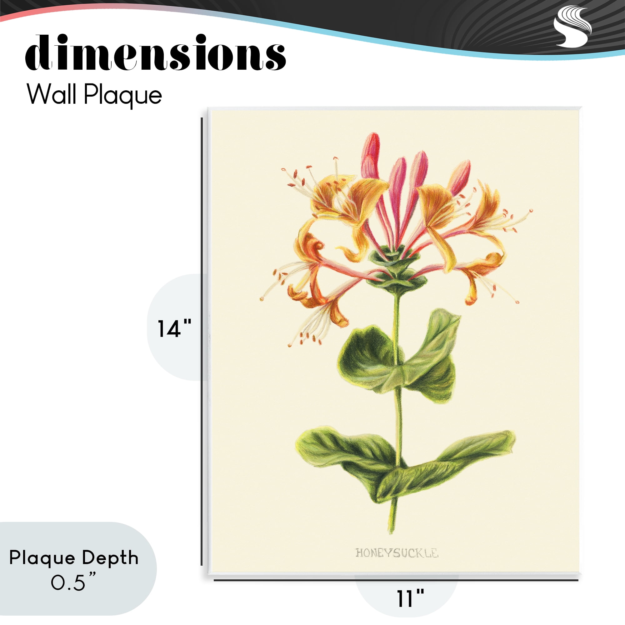 Stupell Industries Honeysuckle Vintage Illustration Wall Plaque Art, design by Connie Resch