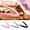 E002- Blue, variant on Kitchen Tool Accessory, Heavy Duty Nut Cracker Tool, Almond Opener, Crab Leg Cracker Tool, Pink 6X2X2 Inch Holiday Gift, Non-Slip Easy Grip Design, Safe Stainless Steel Blade,