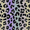 Leopard, variant on ABS Plastic 20-inch Hardside Carry-On Luggage in Leopard Print, Exclusive to Walmart.com, All Ages