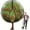 Black, variant on Bird Barrier Fruit Tree Netting with Zipper and Drawstring,Insect Proof Plant Mesh Cover for Garden Vegetables Flowers Protection Black