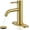 Brushed Gold, variant on Brushed Nickel Bathroom Faucet, Single Hole Bathroom Faucet with Pop-up Drain and Flexible Hoses, Single Handle for Sink, Vanity, RV, Modern Farmhouse