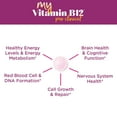 thumbnail image 5 of MyVitamin B-12 ProClinical Melt – 30 Tablet Melts – Methylcobalamin, B6, D3, Folic Acid, Biotin, 5 of 7
