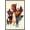 Barnwood Framed Version, variant on Marvel Eternals - Minimalist Wall Poster, 22.375" x 34"