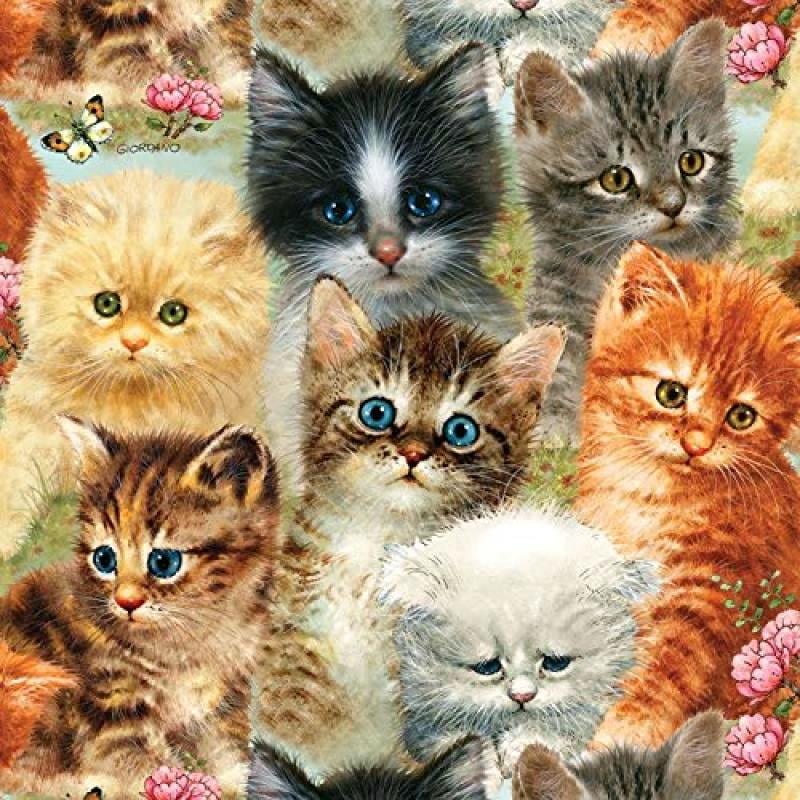 & Complete for sale online SunsOut Cats on The Farm Jigsaw Puzzle 1000 Pc 
