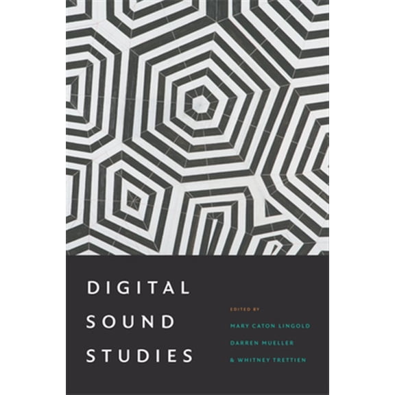 Pre-Owned Digital Sound Studies (Hardcover)