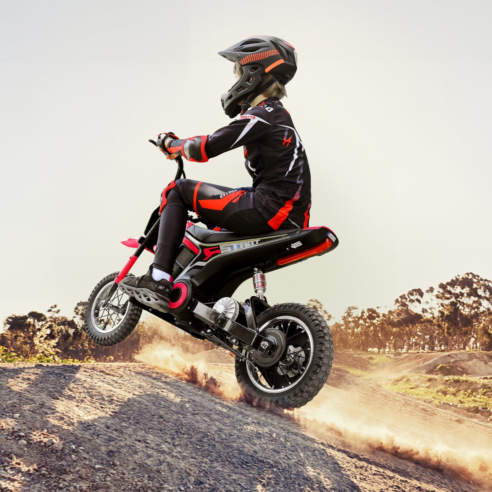 24V Dirt Bike,Neche 250W Electric Powered Motorcycle,Ride on Dirt Rocket with Shock Absorption Suspension for Kids Age 13+,Red