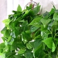 thumbnail image 2 of Plantas colgantes artificiales: hojas de hiedra falsa, plantas de cocina para pared, casa, habitación, jardín, boda, guirnalda, decoración interior y exterior, 2 of 5