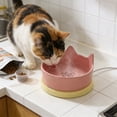 thumbnail image 5 of Pet Heated Water Bowl - Comfortable and Durable for Dogs, Cats, and Birds - Perfect for Indoor and Outdoor Use, 5 of 7