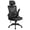 Black, variant on Alpinel Ergonomic Mesh Office Chair, High Back Desk Chair with flip-up Armrests, Adjustable Padded Headrest Lumbar Support for Home Oiffce Game Room, White/Gray
