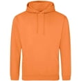 thumbnail image 1 of Awdis  Adult College Hoodie, 1 of 2