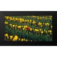 thumbnail image 2 of Leahy, Ike 24x15 Black Modern Framed Museum Art Print Titled - Me, 2 of 5