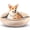 Beige Brown-26.0"L x 26.0"W x 6.0"Th, variant on Dog Beds For Small Medium Dogs With Hooded Blanket  Cozy Cuddler Luxury Puppy Pet Bed Attached Donut Round Calming Burrow Cave Machine Washable 26 Inch