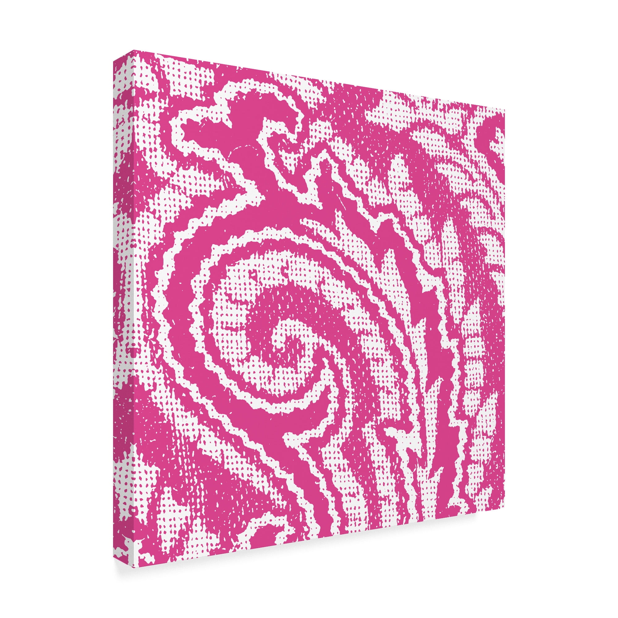 Trademark Fine Art 'Boho Bright VI' Canvas Art by Wild Apple Portfolio