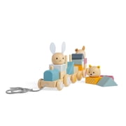 Bigjigs Toys - Activity Pull Along Train