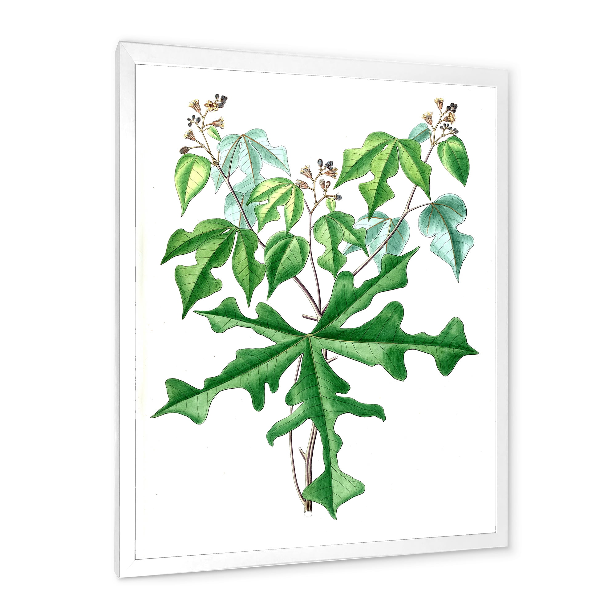 Designart 'Ancient Drawing of Wild Plants' Traditional Framed Art Print