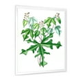 thumbnail image 3 of Designart 'Ancient Drawing of Wild Plants' Traditional Framed Art Print, 3 of 4