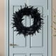 thumbnail image 5 of de Plumas de 16 Pulgadas, de Halloween Negra, Decoración de Pared para , Accesorios para fotografía, 5 of 7