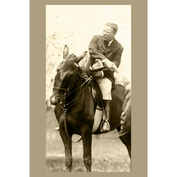 Print: President Theodore Roosevelt On Horseback Shaking Hands With