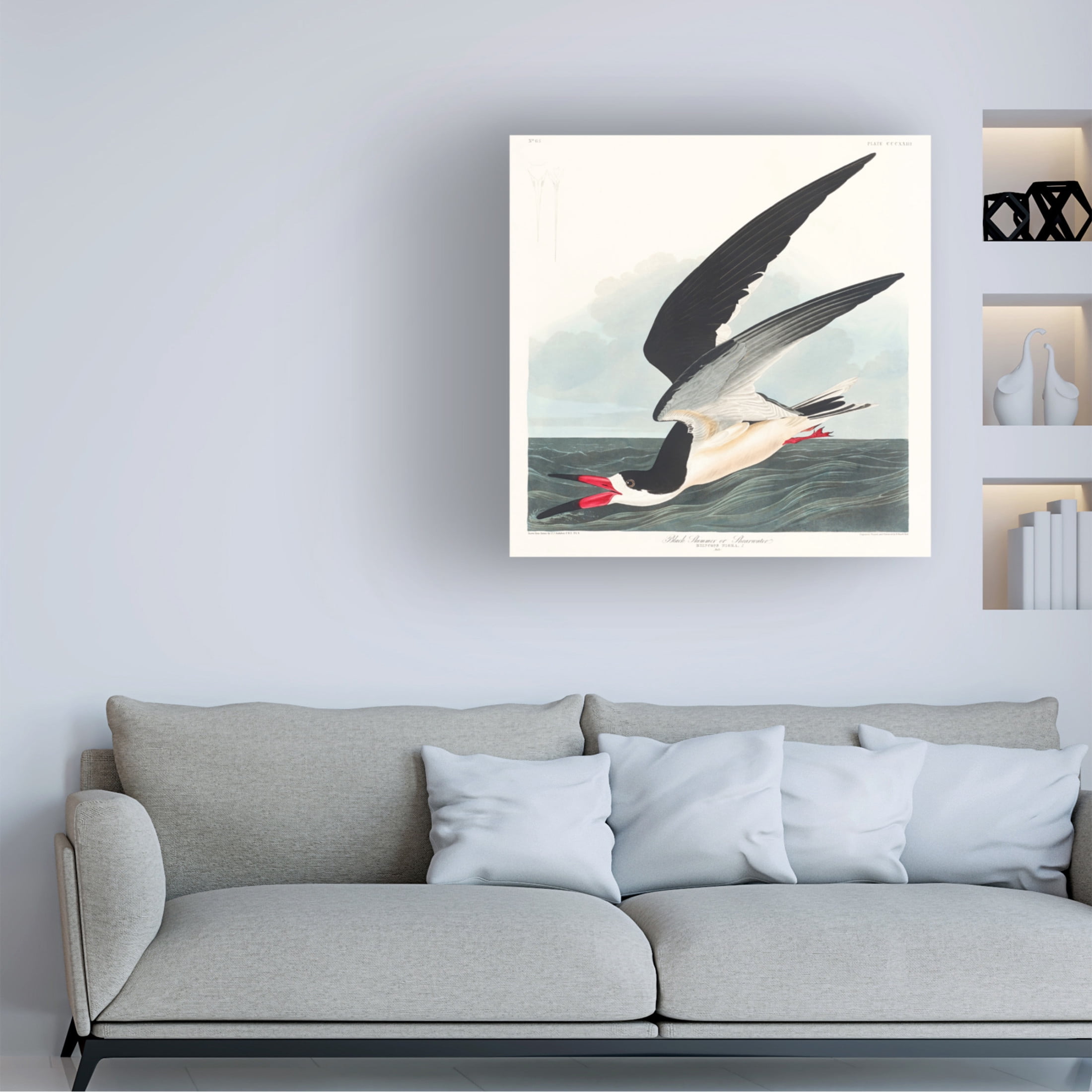 Trademark Fine Art Pictufy   Black Skimmer From Birds of America 1827 Canvas Wall Art