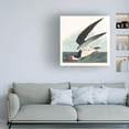 thumbnail image 2 of Trademark Fine Art Pictufy   Black Skimmer From Birds of America 1827 Canvas Wall Art, 2 of 4